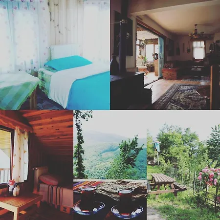 Zirve Dag Evi Chalet Kocaeli