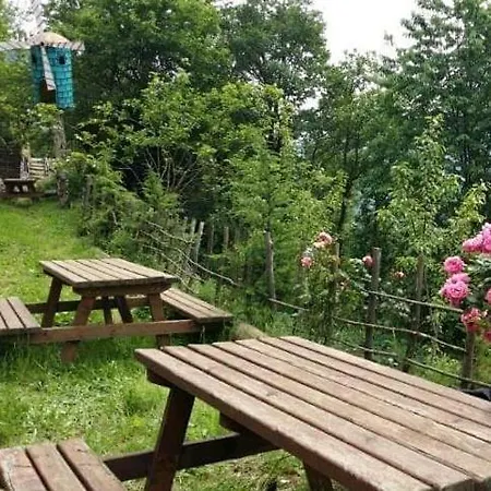 Zirve Dag Evi Kocaeli