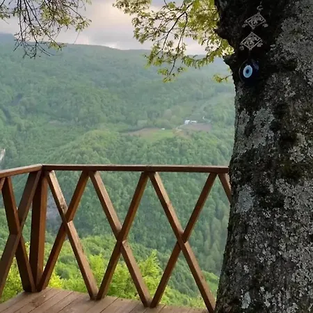 Zirve Dag Evi Kocaeli