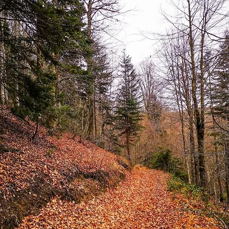 Zirve Dag Evi Chalet *