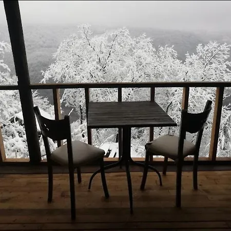 Chalet Zirve Dag Evi *