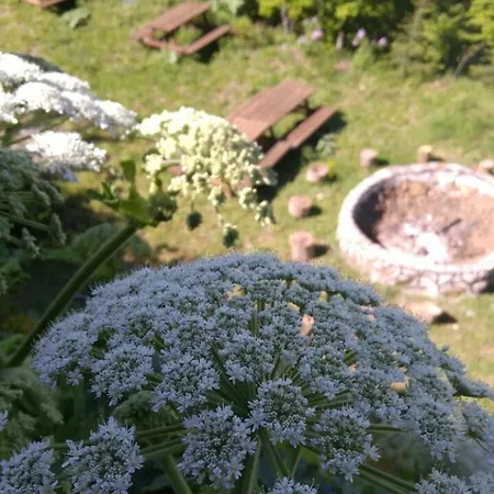 Zirve Dag Evi Chalet *