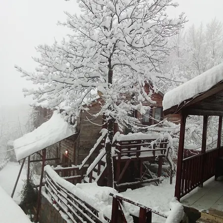 Zirve Dag Evi * Kocaeli