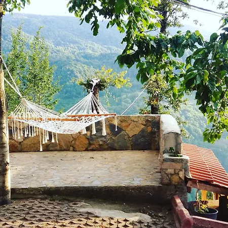Chalet Zirve Dag Evi *