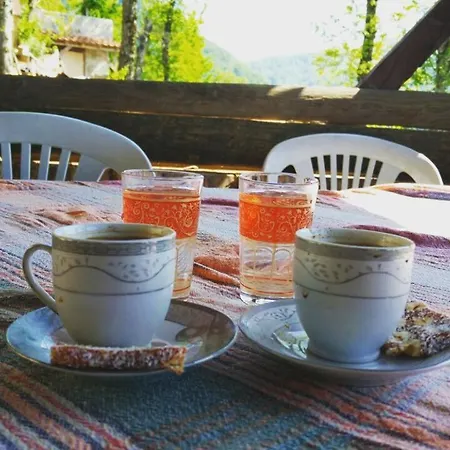 Zirve Dag Evi Chalet