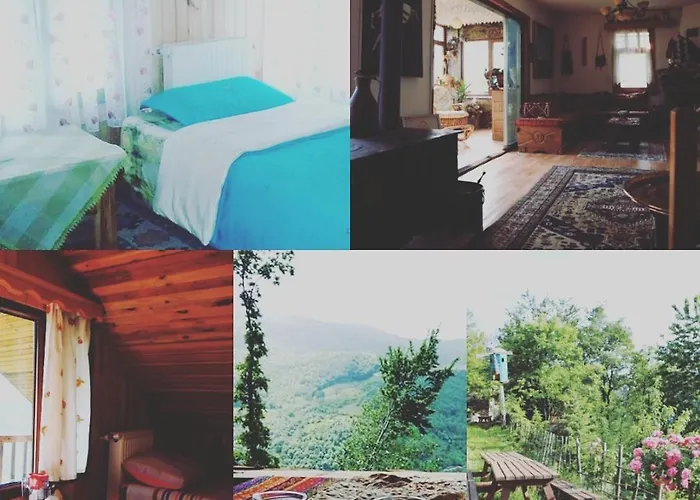 Zirve Dağ evi Kocaeli