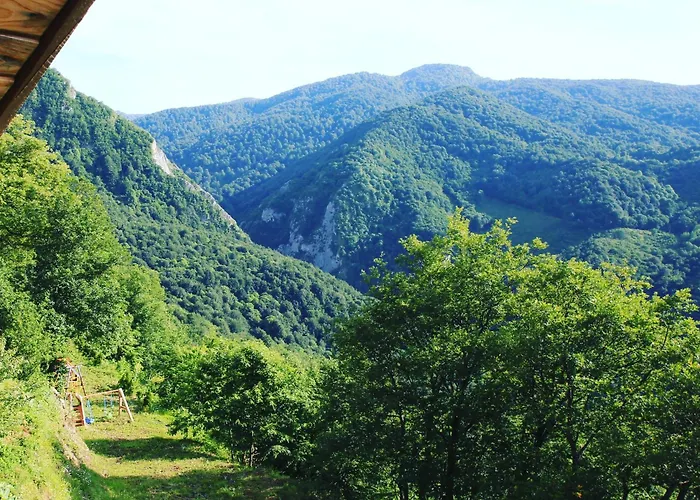 Zirve Dağ evi Kocaeli